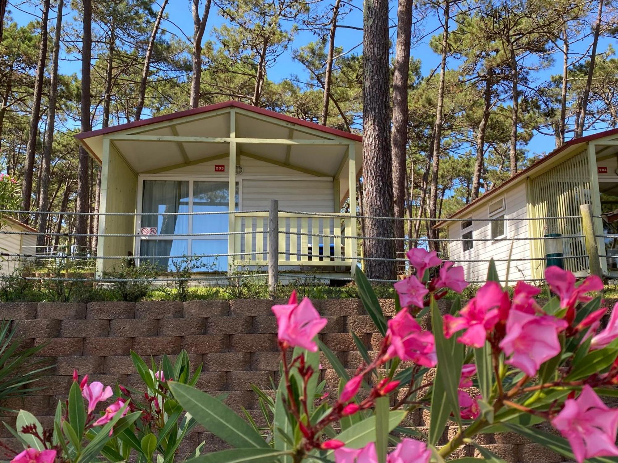 Parque De Campismo Orbitur Valado Otel Nazaré Dış mekan fotoğraf